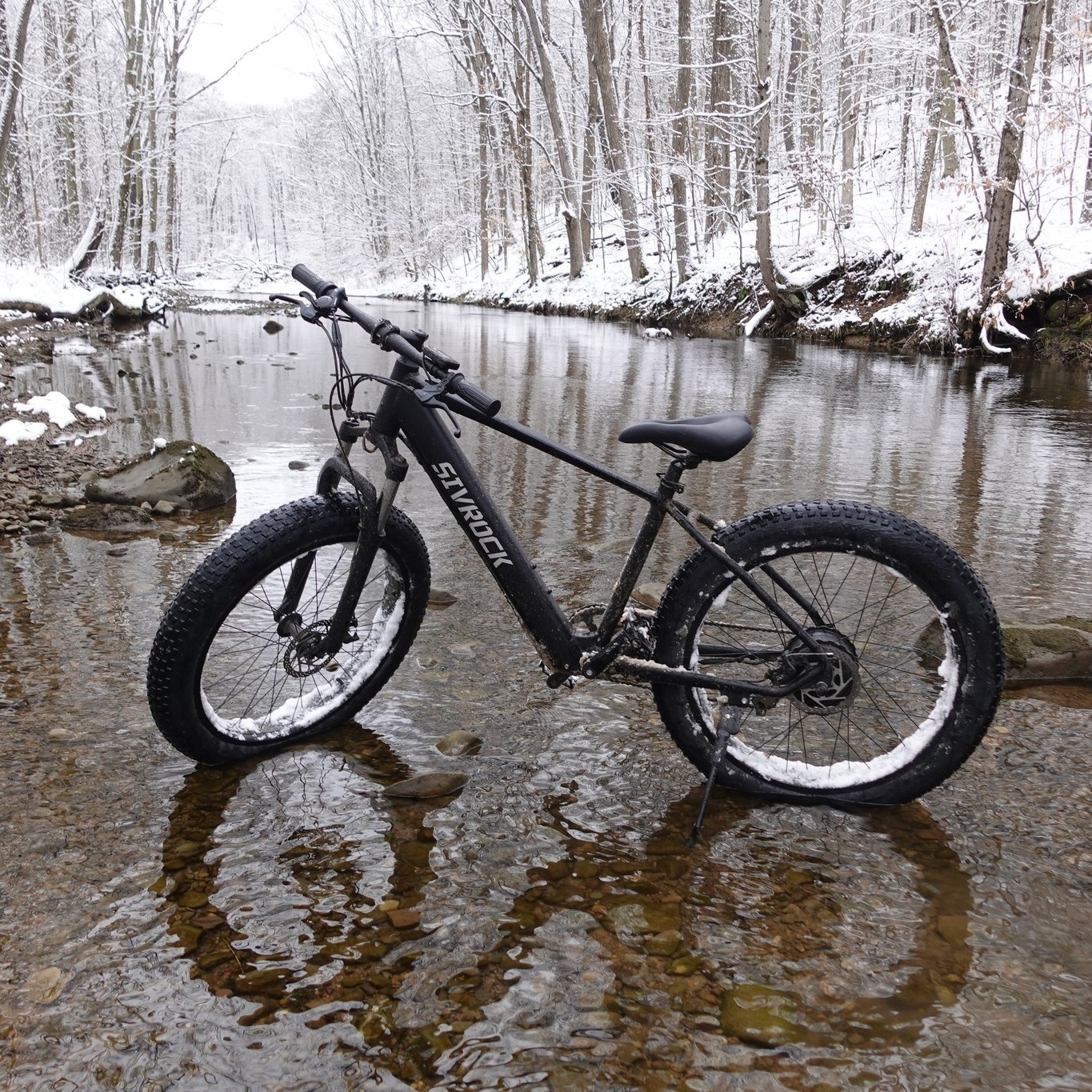 E-Bike de Montaña 1000W - Imagen 5