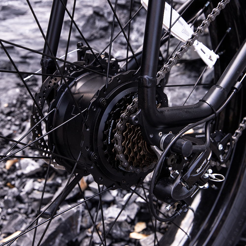 E-Bike de Montaña 1000W - Imagen 3