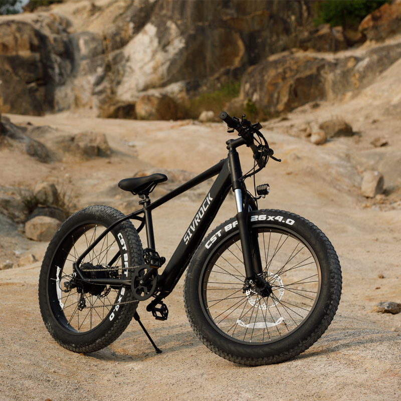 E-Bike de Montaña 1000W - Imagen 6