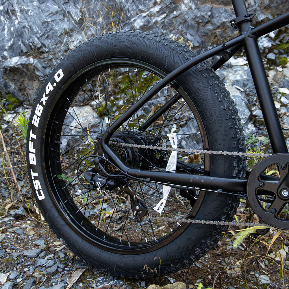 E-Bike de Montaña 1000W - Imagen 8